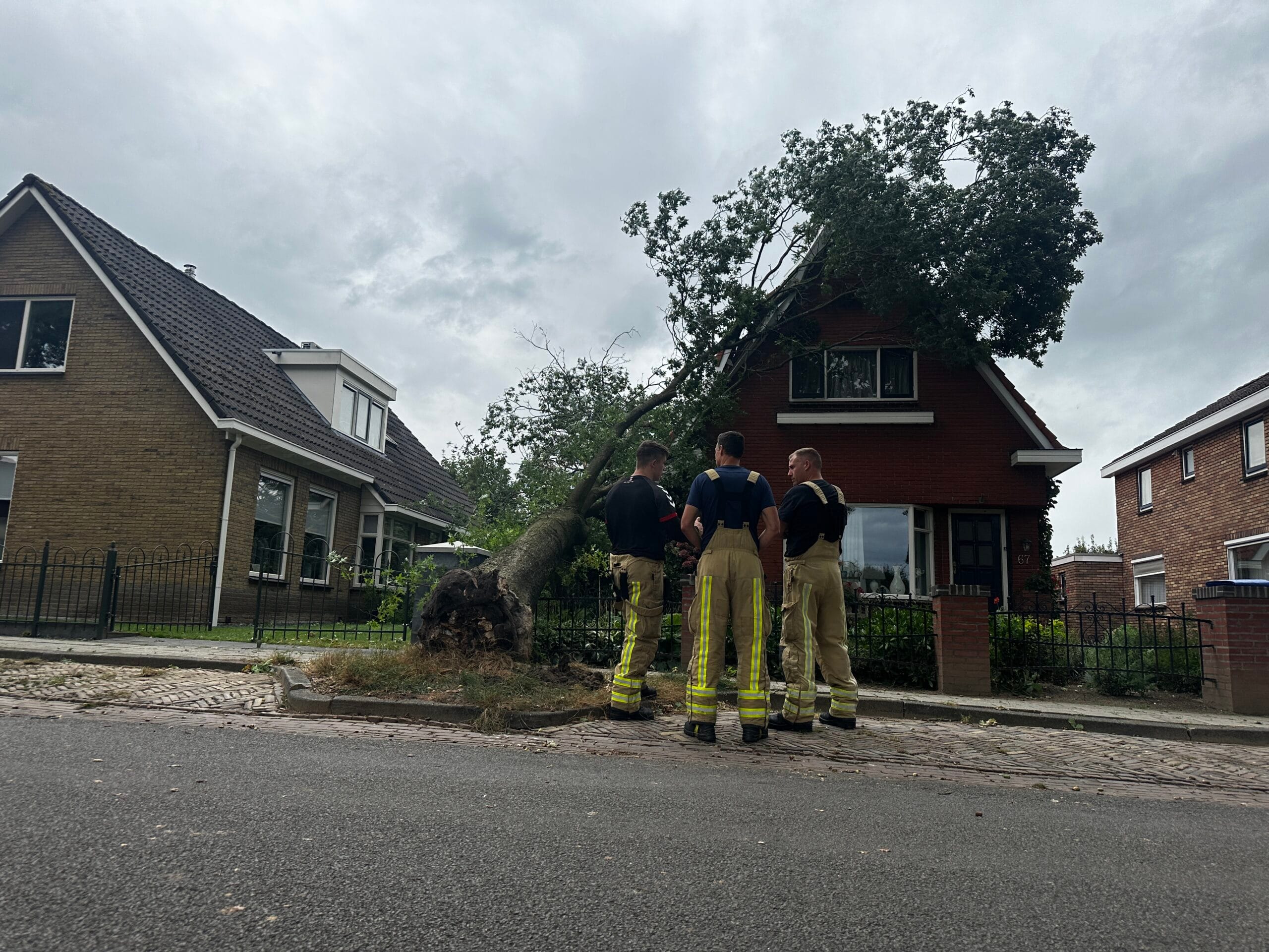 boom valt op huis valte