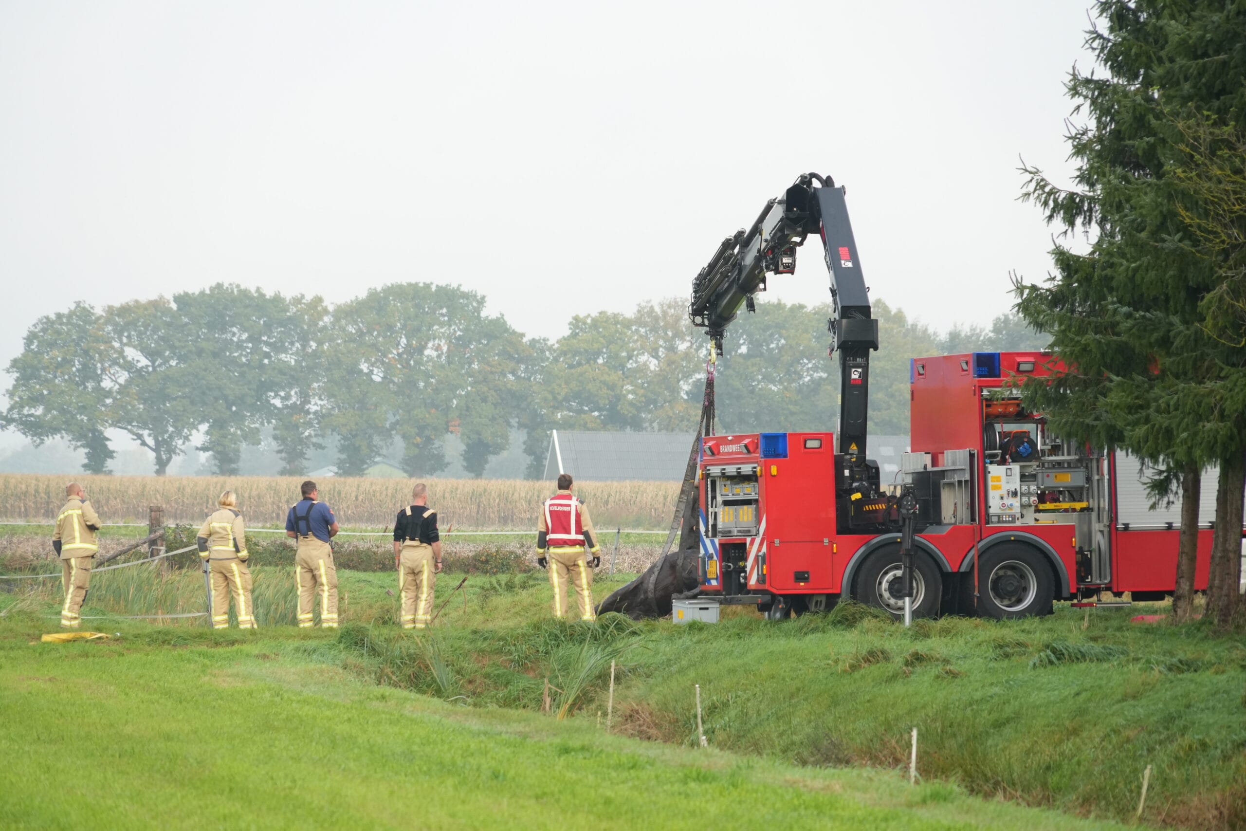 Brandweer redt paard uit sloot in Odoornerveen