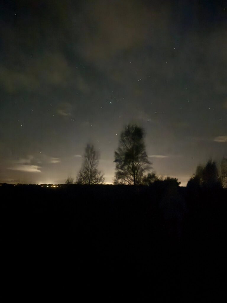 Nacht van de Nacht – Bargerveen