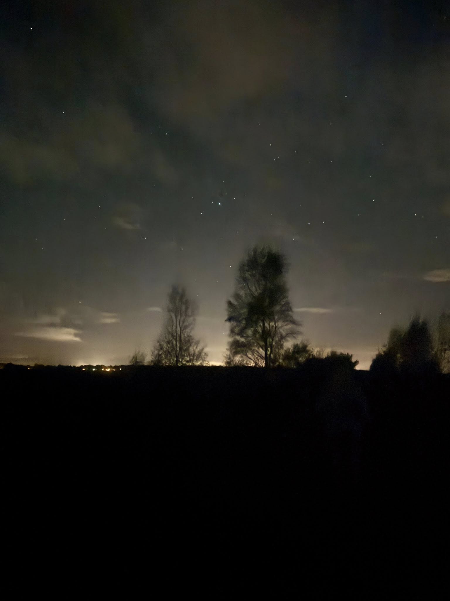 Nacht van de Nacht – Bargerveen